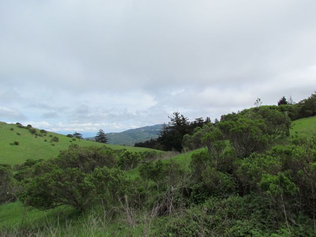 Santa Cruz Mountains